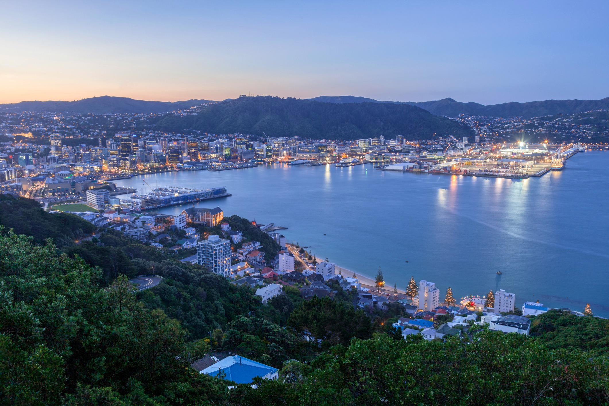 An aerial shot of Wellington Harbour from Mount Victoria, featuring blue waters and lively city life